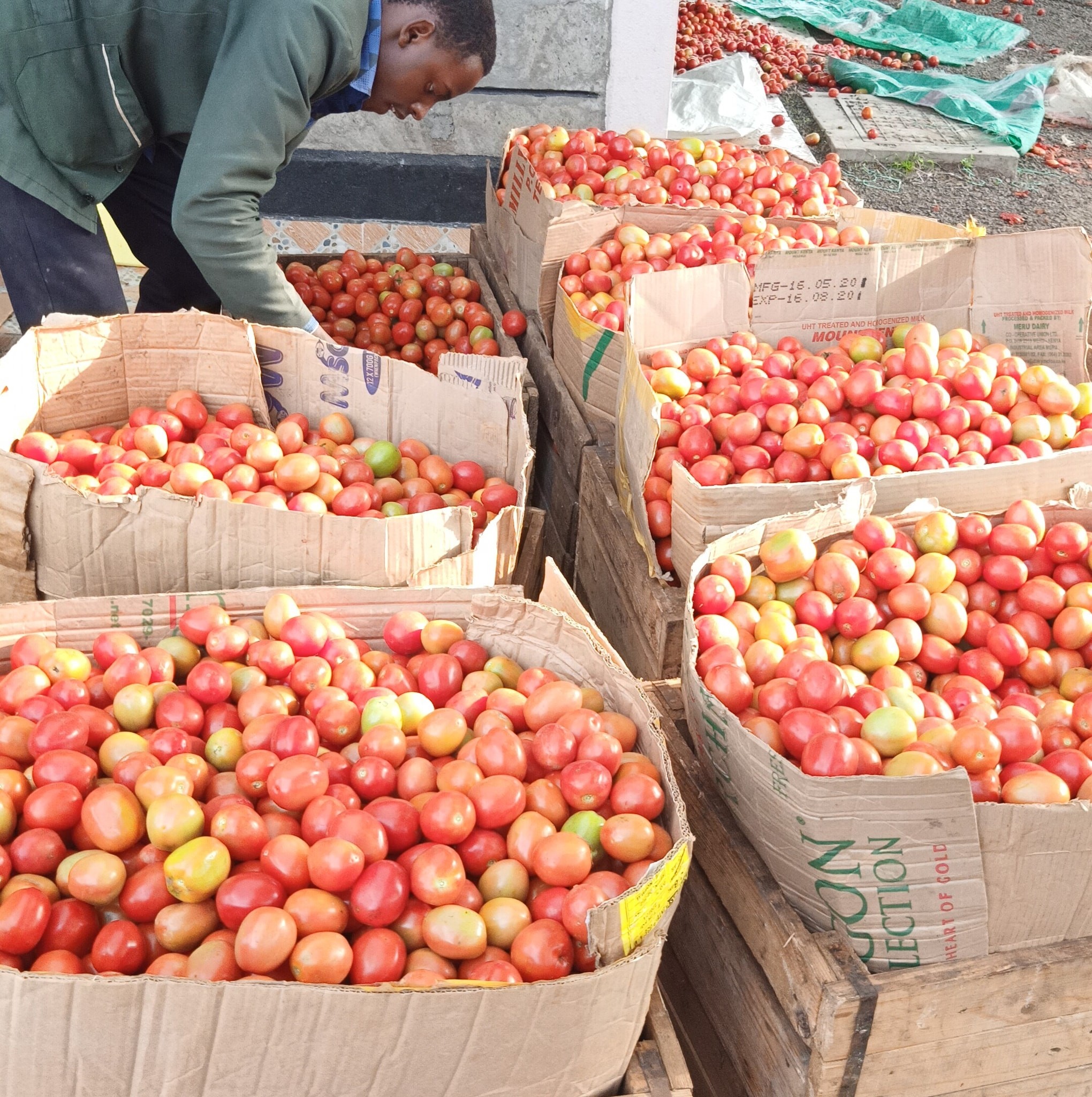 Traders appeal for modern market