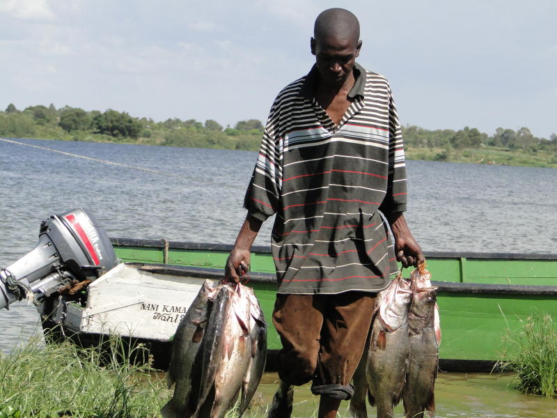 Why fish is an expensive delicacy for Lake Victoria locals