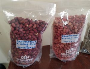 Groundnut farmers raking big, bid poverty goodbye – Kenya News Agency