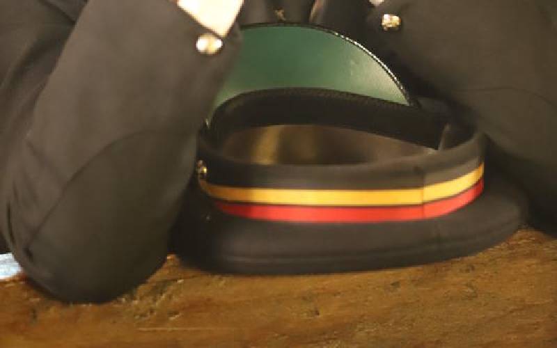Senior police officers moved in shuffle: The Standard