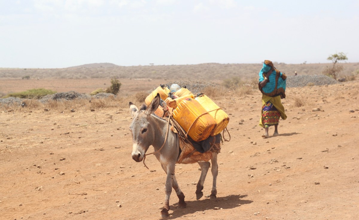 Kenya: Marsabit County Named Most Suitable for Spaceport