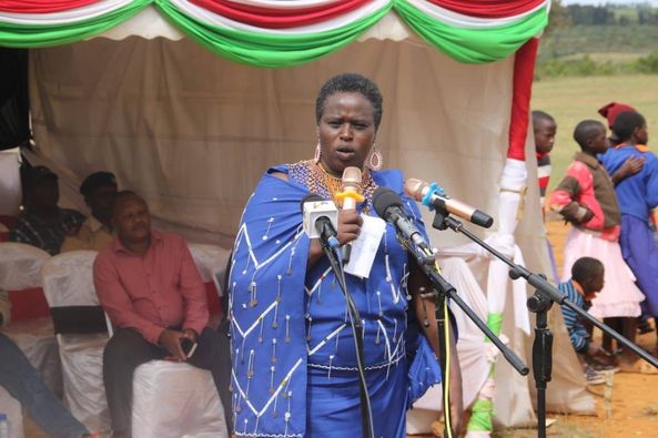 Former MP Imprisoned For Slapping, Kicking Female MP After Heated Argument