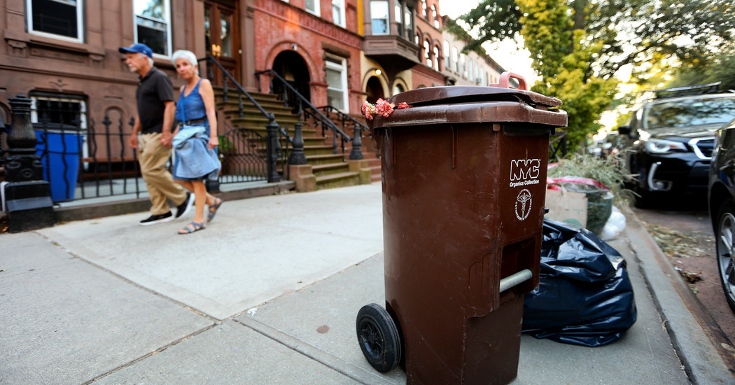 The Compost by My Couch: How (and Why) I Started an Odorless Bin at Home