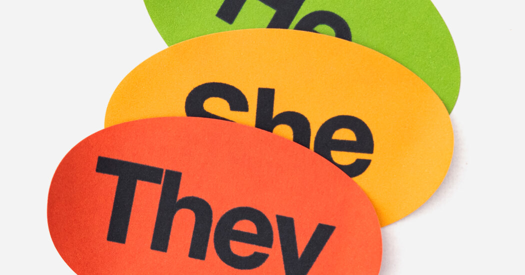 Opinion | The Gender-Neutral Pronoun 'They' Causes a Stir