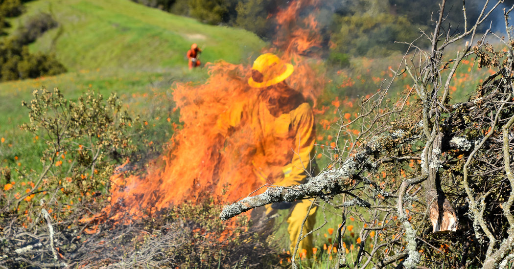 Coronavirus in California: Controlled Burns Could Cause Respiratory Issues for Covid-19 Patients