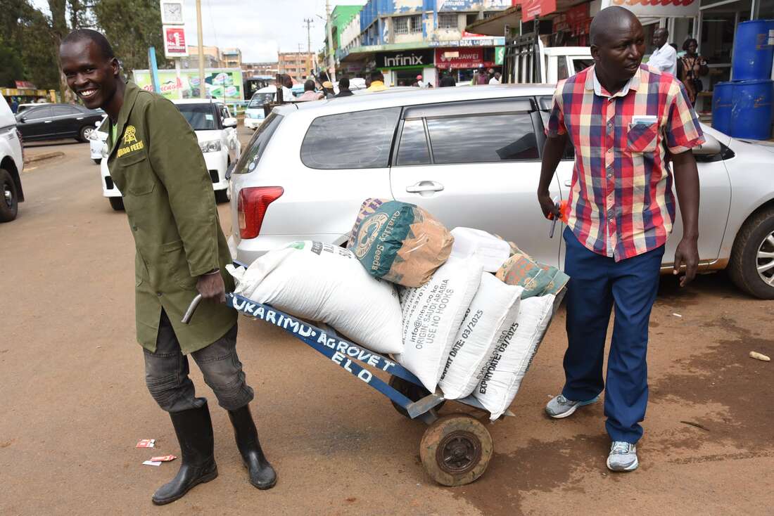 Fertiliser crisis looms on Sh5.7bn subsidy row - Business Daily