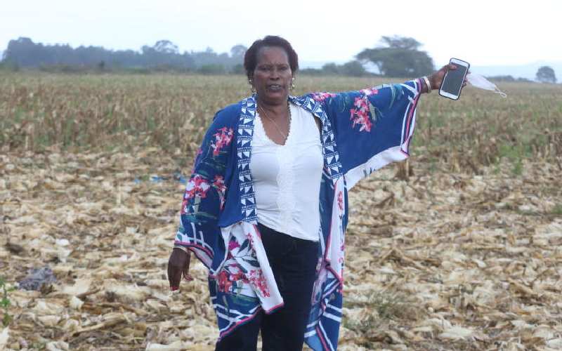 Former MP Kibowen Komen succession case rages on in court