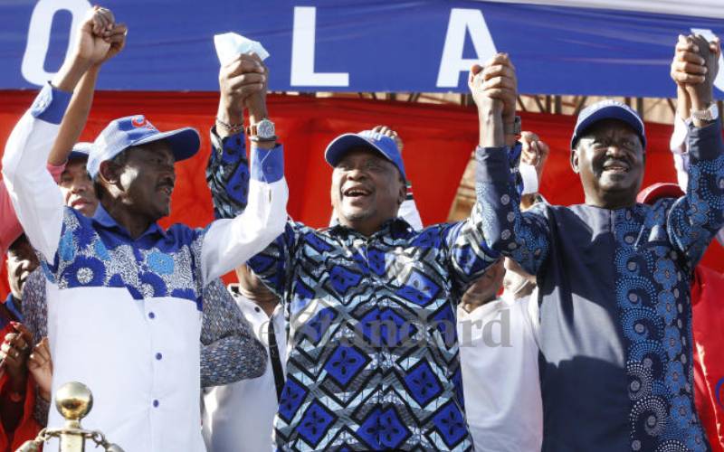 Kalonzo's horror of parties that signed what they didn't know