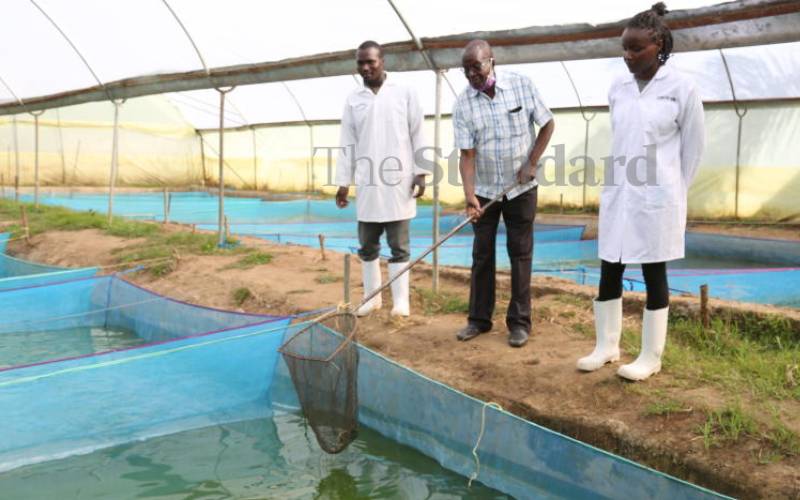 Counties to benefit from Sh25 billion 5-year small-scale fish farming project