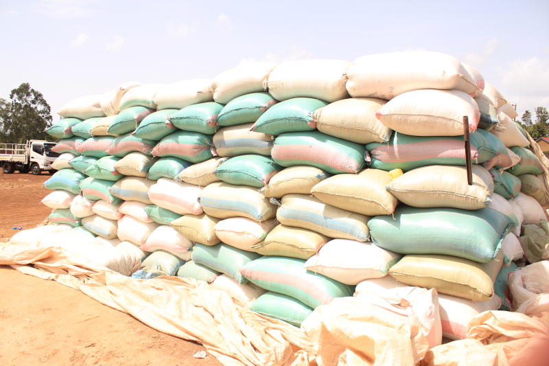 Desperate hunt for cheap maize abroad as Kenya's silos now run dry