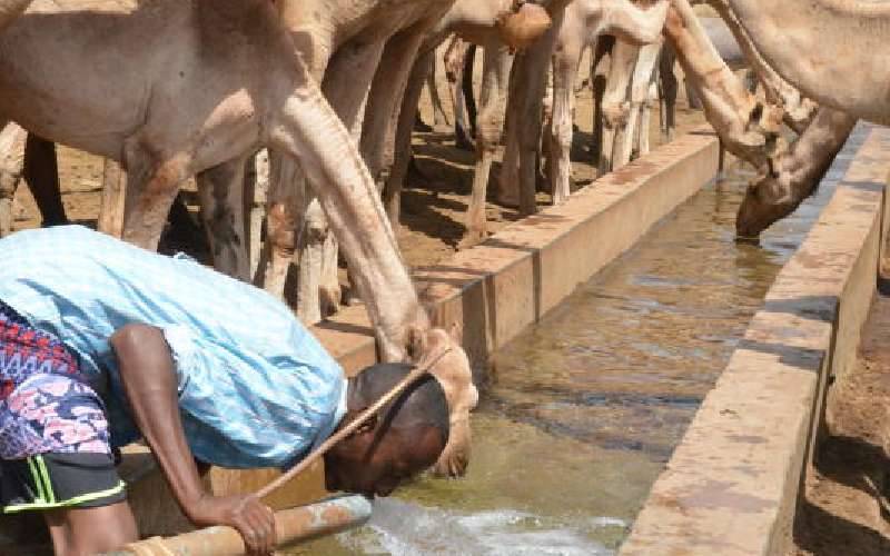 Thousands at risk of starving as drought bites in arid counties