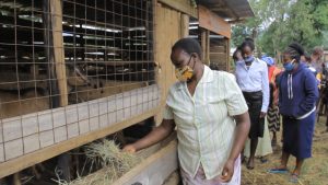 Youth group minting shillings through rearing of dairy goats – Kenya News Agency