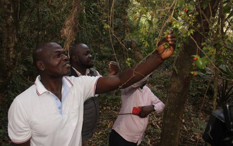 Retired police officer in tireless efforts to save catchment forest