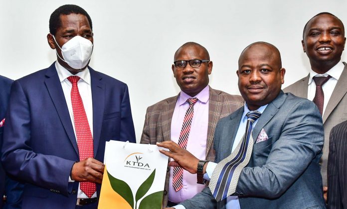 KTDA: Tea Price Reserve Changing Farmers' Fortunes