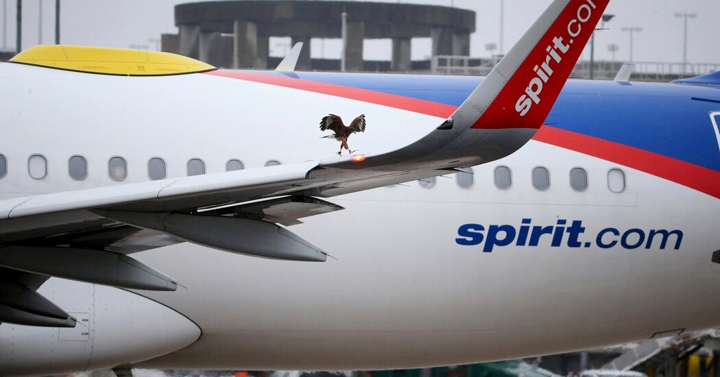 Frontier and Spirit Airlines to Merge