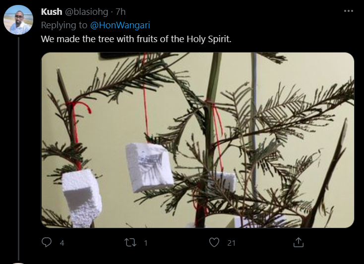 Gilgil MP Martha Wangari sparks debate after posting child's CBC school project 