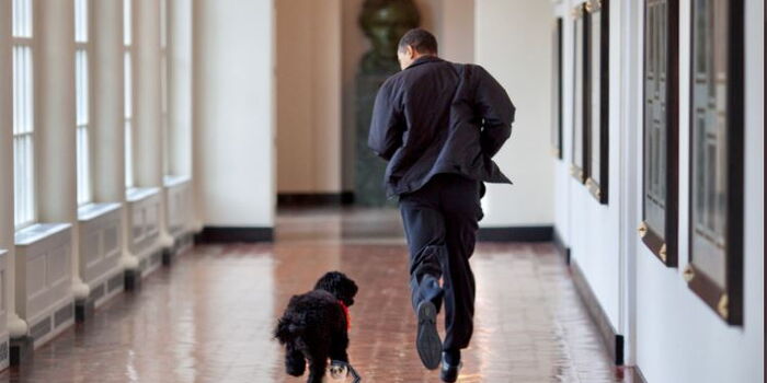 Kenyans React as Obama Mourns His Dog