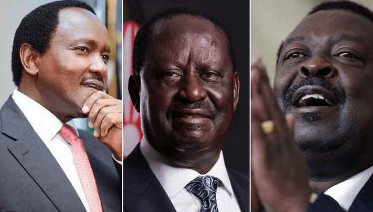 Why Raila Needs Kalonzo, Musalia More than Mt Kenya