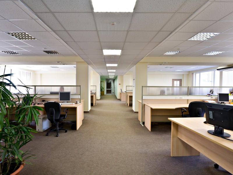 Why we will not go back to employment