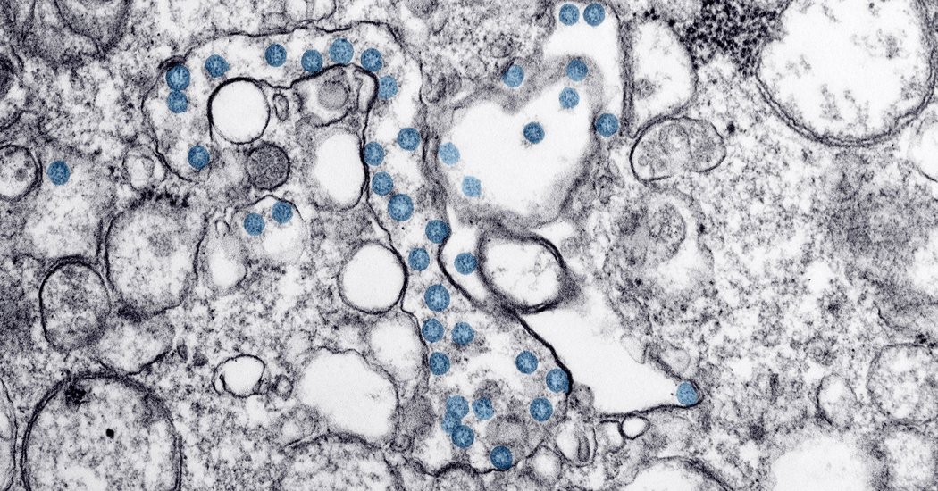 Labs Across U.S. Join Federal Initiative to Study Coronavirus Genome
