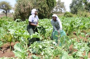 Isiolo International Airport to boost produce markets – Kenya News Agency