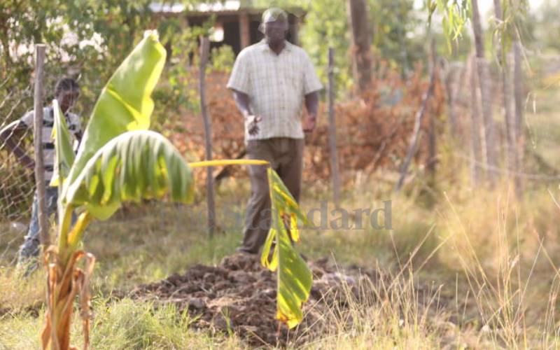 Couple digs up son’s body hoping he will resurrect