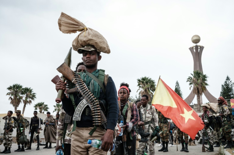 Ethiopia PM vows to repel 'enemies' after Tigray rebel assault » Capital News