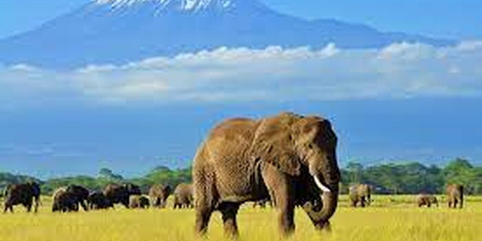 10 Interesting Things We Bet You Didn’t Know About Kenya