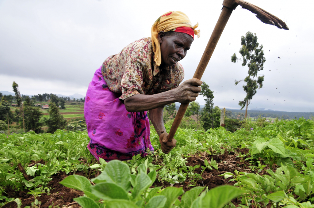 Achieving Food Security Goes Beyond Good Budgets