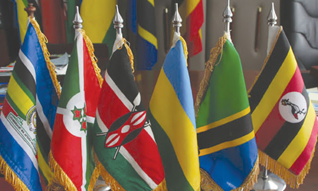Africa should seize fast-developing digital market space: AU official