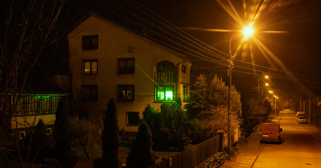 Beyond the Freezing Forest, a Green Light at the Window for Migrants