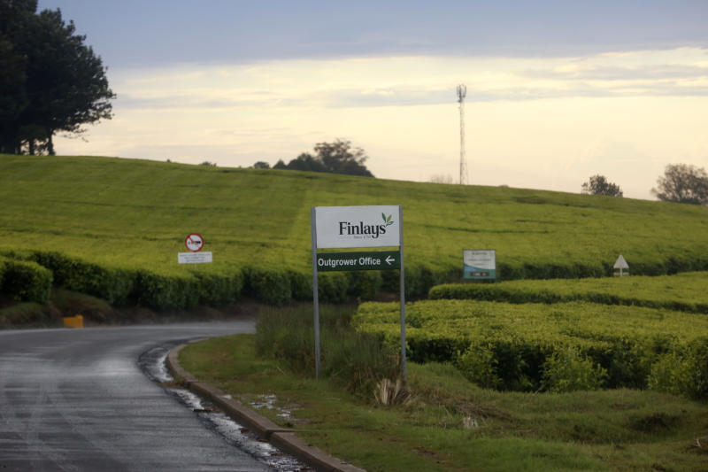 James Finlay workers get nod to sue tea firm in Scotland over injuries