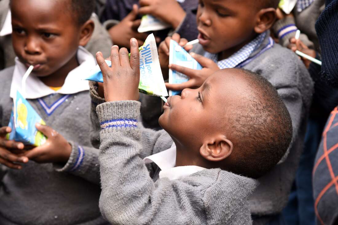 MPs reject Sh1bn-a-week schools milk plan