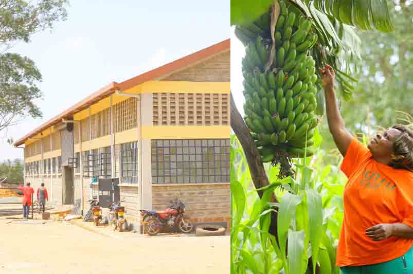 Kisii serves up more than just ‘matoke’ in rise as financial hub