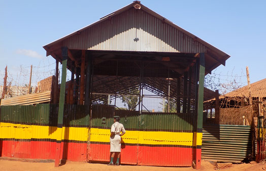 Thugs kill prisons officer in Meru – Nairobi News
