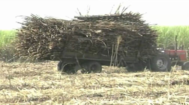 Gov't moves in to restore order at Chemelil sugar company