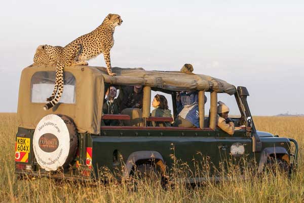 Tourism Sector On Recovery Path As Kenya Records 870,000 International Arrivals in 2021
