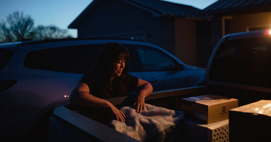 New Mexico Wildfire Is ‘Burning Down a Way of Life’