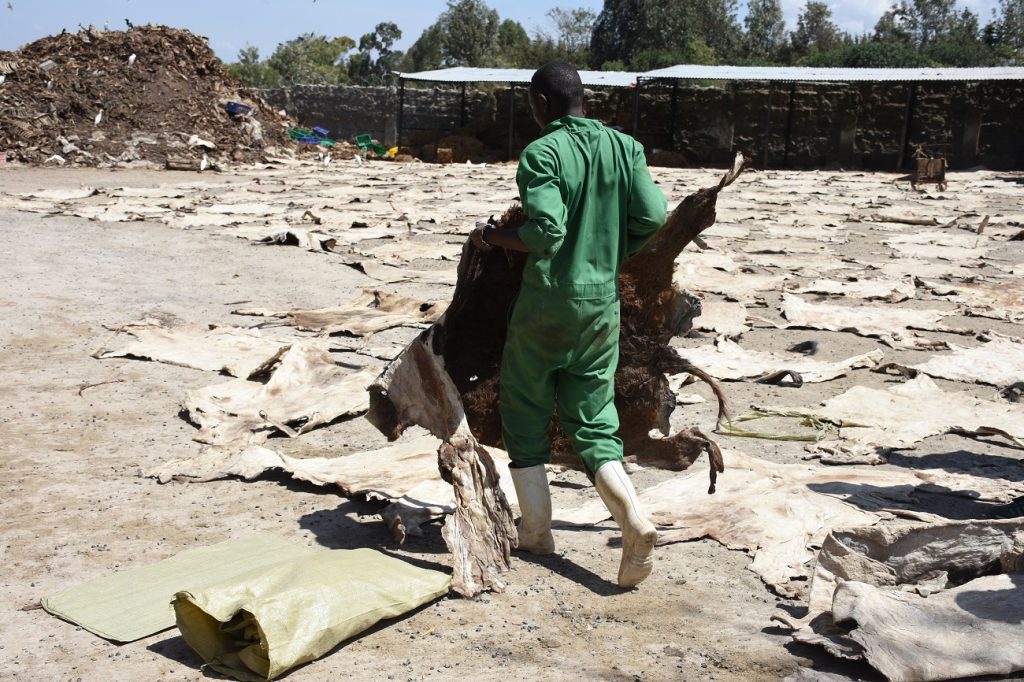 donkey Skins Update - launch photo www.businesstoday.co.ke