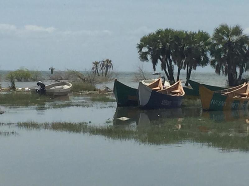 Huge losses, residents displaced as lake rises: The Standard