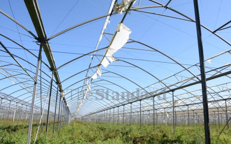 Bank evicts ex-Karuturi employees in bid to recover Sh1.8b debt