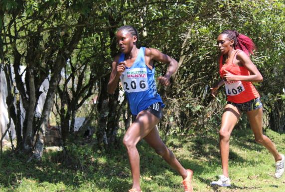 Too, Cherono win in Bomet cross country meeting : The standard Sports