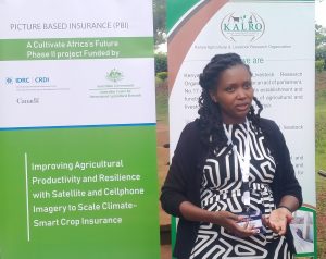 Farmers using digital platform to insure crops – Kenya News Agency
