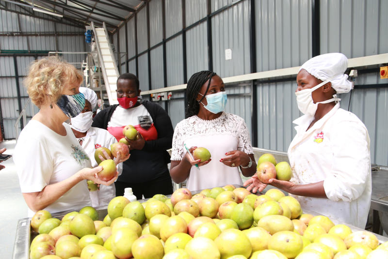 Fund to pump Sh87.2 million into rural firms in Turkana