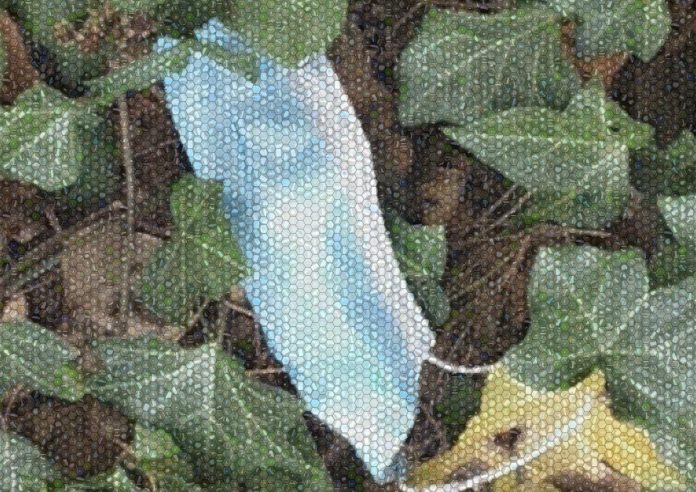 Researchers Unmask The Environmental Impacts Of Covid-19