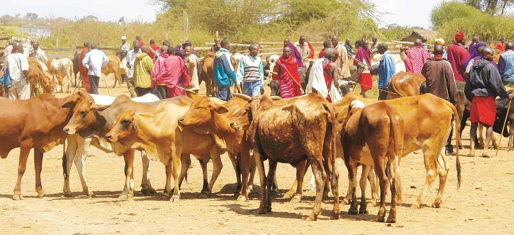 Gov't defends veterinary review as farmers anticipate increased prices of feeds