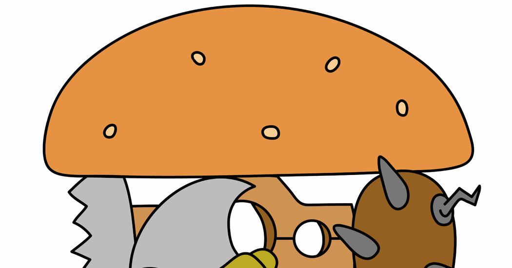 Opinion | How We Treat Farmed Animals