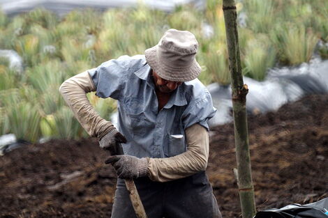 A man attending to his farm