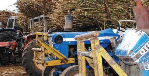 Trans Mara Sugar Company Faces Closure Following Mysterious Deaths Of Two Employees