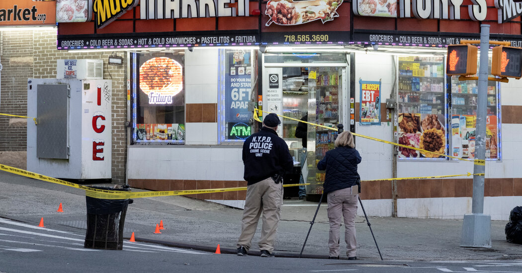 Teenager Charged in Fatal Shooting of 16-Year-Old Girl in the Bronx
